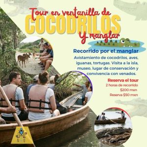 Manglares y Cocodrilos Ventanilla