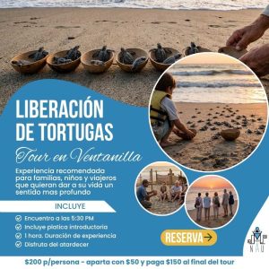 Liberación de Tortugas Ventanilla