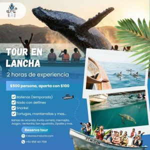 Tour en lancha Ballenas, delfines y tortugas